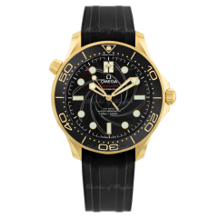 210.62.42.20.01.001 | Omega Seamaster Diver 300M Co‑Axial Master Chronometer 42 mm watch