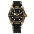 M79250BA-0001 | Tudor Black Bay Bronze 43mm watch. Buy Online